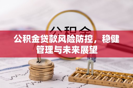 阳山公积金贷款风险防控，稳健管理与未来展望
