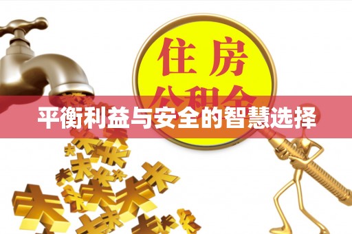 阳山平衡利益与安全的智慧选择