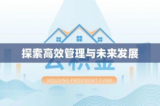 阳山探索高效管理与未来发展