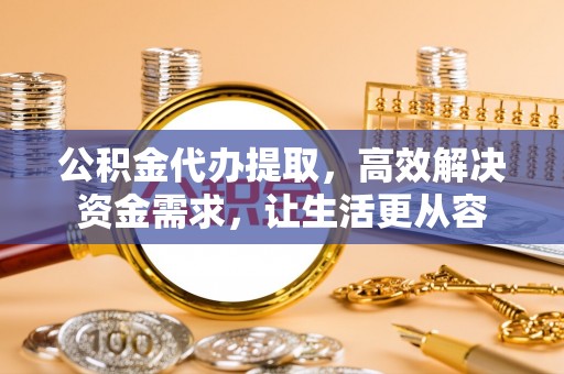 阳山公积金代办提取，高效解决资金需求，让生活更从容