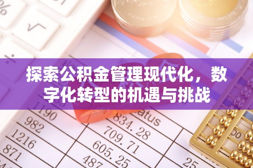 阳山探索公积金管理现代化，数字化转型的机遇与挑战