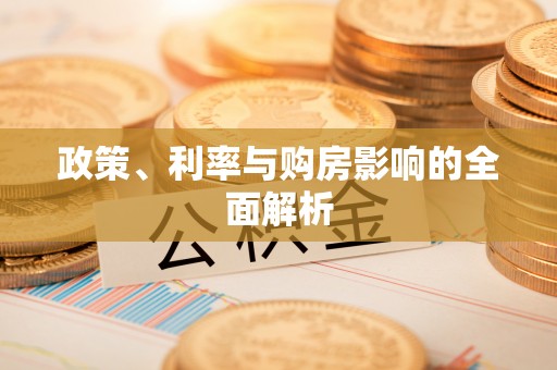 阳山政策、利率与购房影响的全面解析
