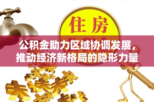 阳山公积金助力区域协调发展，推动经济新格局的隐形力量