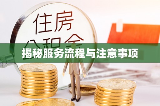 阳山揭秘服务流程与注意事项