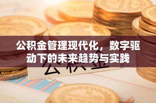 阳山公积金管理现代化，数字驱动下的未来趋势与实践