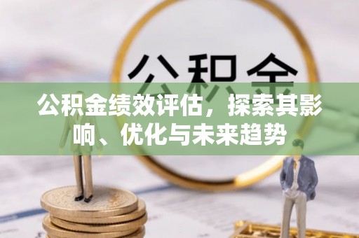 阳山公积金绩效评估，探索其影响、优化与未来趋势