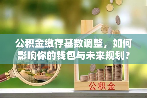 阳山公积金缴存基数调整，如何影响你的钱包与未来规划？