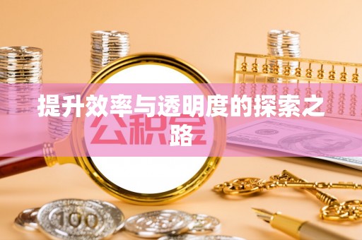 阳山提升效率与透明度的探索之路