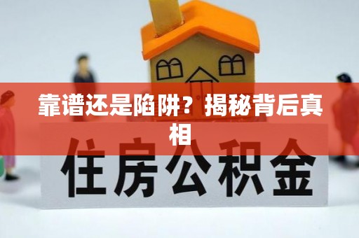 阳山靠谱还是陷阱？揭秘背后真相