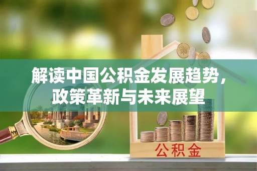 阳山解读中国公积金发展趋势，政策革新与未来展望