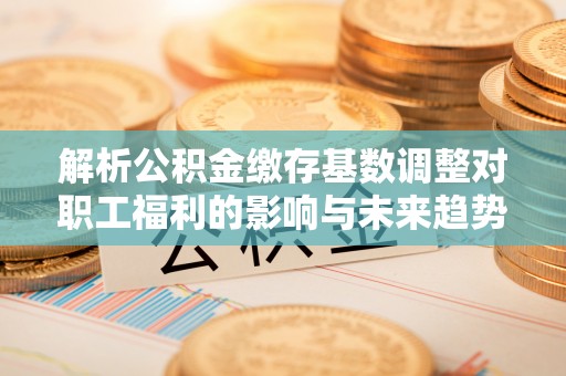 阳山解析公积金缴存基数调整对职工福利的影响与未来趋势