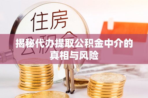 阳山揭秘代办提取公积金中介的真相与风险