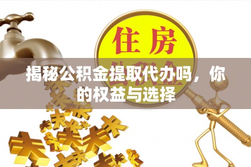 阳山揭秘公积金提取代办吗，你的权益与选择
