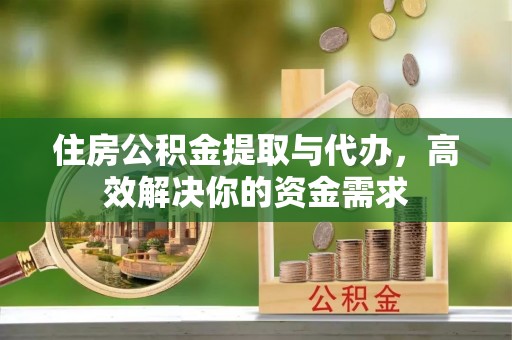 阳山住房公积金提取与代办，高效解决你的资金需求