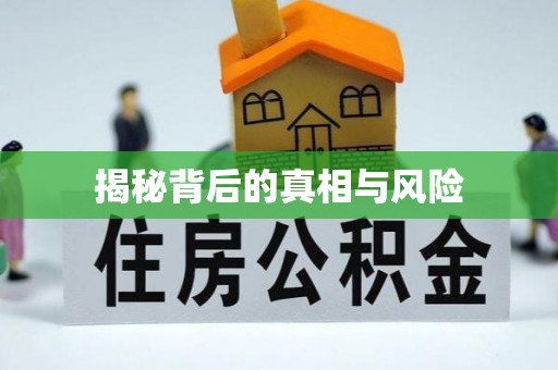 阳山揭秘背后的真相与风险