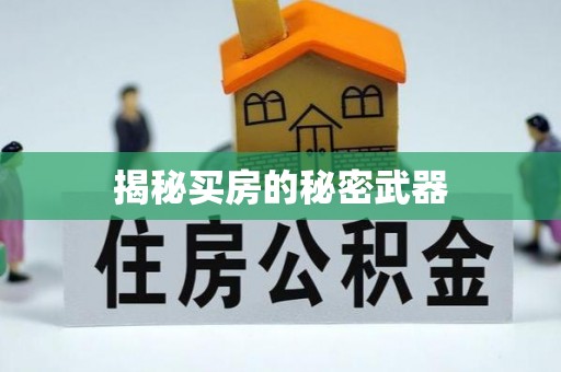 阳山揭秘买房的秘密武器