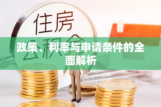 阳山政策、利率与申请条件的全面解析