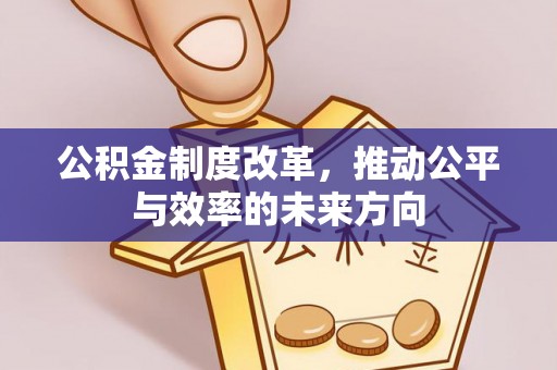 阳山公积金制度改革，推动公平与效率的未来方向