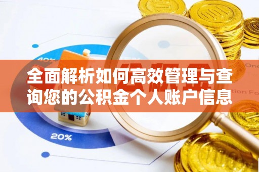 阳山全面解析如何高效管理与查询您的公积金个人账户信息
