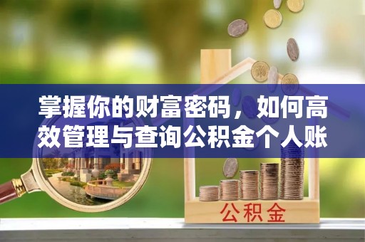 阳山掌握你的财富密码，如何高效管理与查询公积金个人账户信息
