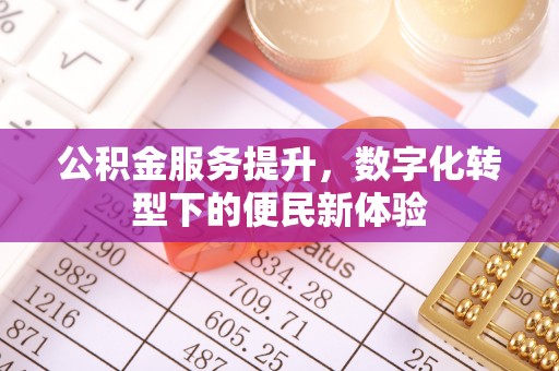 阳山公积金服务提升，数字化转型下的便民新体验