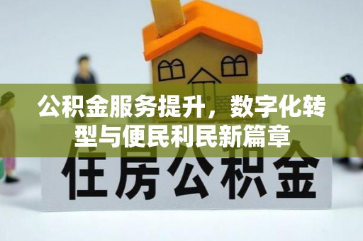 阳山公积金服务提升，数字化转型与便民利民新篇章