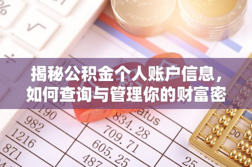 阳山揭秘公积金个人账户信息，如何查询与管理你的财富密码
