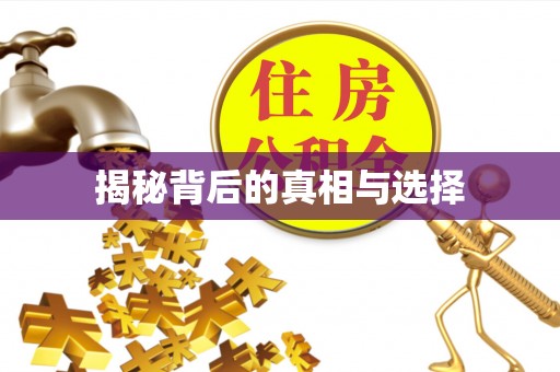 阳山揭秘背后的真相与选择