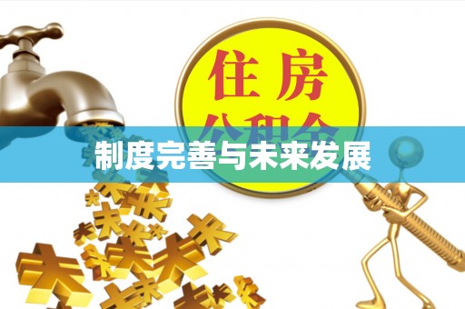 阳山制度完善与未来发展