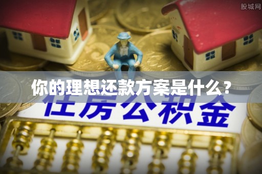 阳山你的理想还款方案是什么？