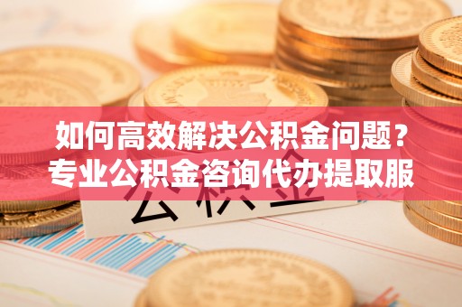 阳山如何高效解决公积金问题？专业公积金咨询代办提取服务来帮你