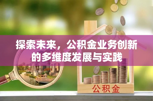 阳山探索未来，公积金业务创新的多维度发展与实践