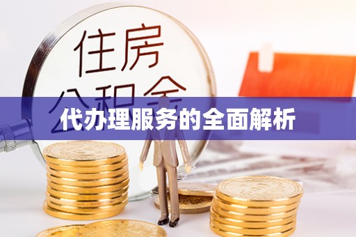 阳山代办理服务的全面解析