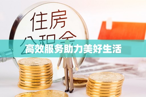 阳山高效服务助力美好生活