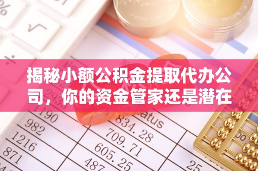 阳山揭秘小额公积金提取代办公司，你的资金管家还是潜在风险？