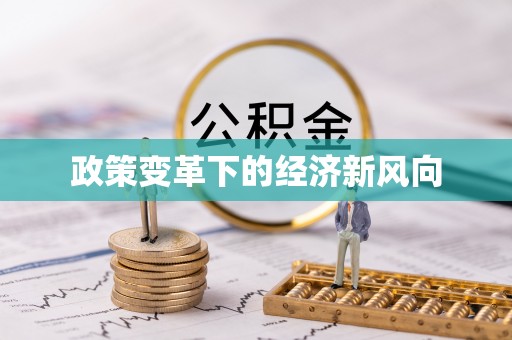 阳山政策变革下的经济新风向