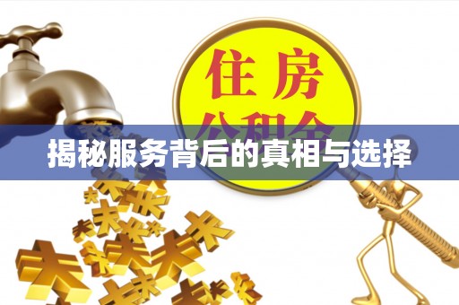阳山揭秘服务背后的真相与选择