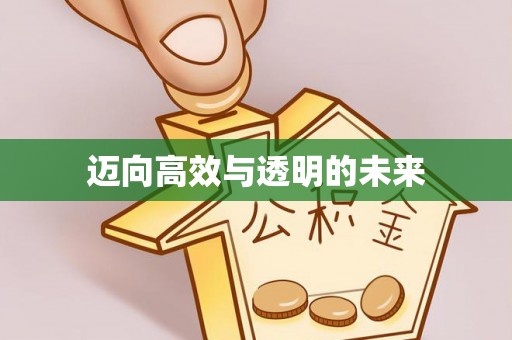 阳山迈向高效与透明的未来
