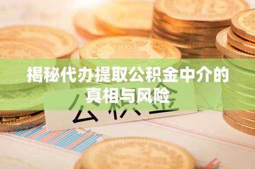 阳山揭秘代办提取公积金中介的真相与风险