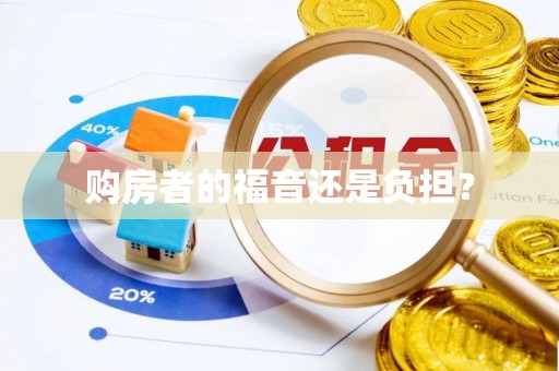 阳山购房者的福音还是负担？