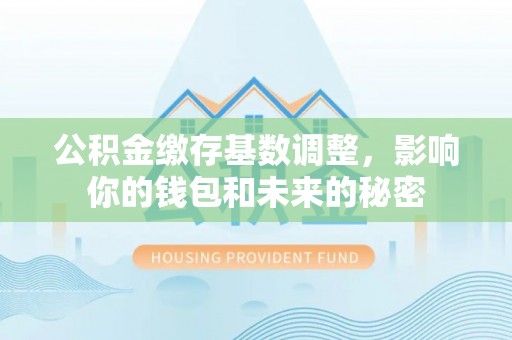 阳山公积金缴存基数调整，影响你的钱包和未来的秘密