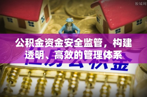 阳山公积金资金安全监管，构建透明、高效的管理体系