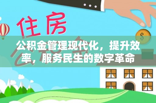 阳山公积金管理现代化，提升效率，服务民生的数字革命