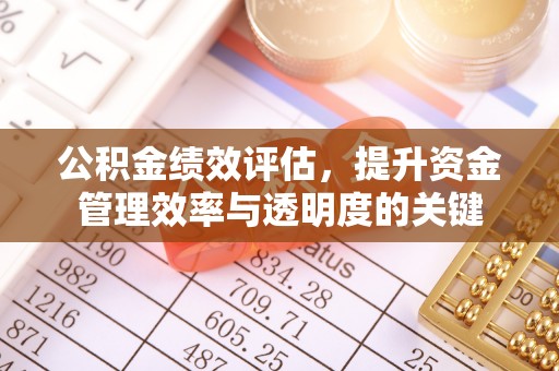 阳山公积金绩效评估，提升资金管理效率与透明度的关键