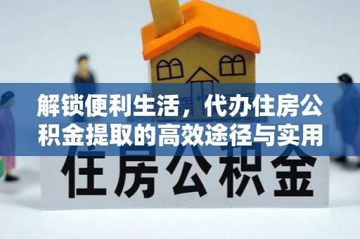 阳山解锁便利生活，代办住房公积金提取的高效途径与实用技巧