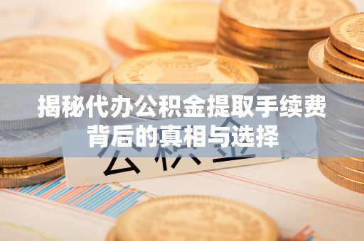 阳山揭秘代办公积金提取手续费背后的真相与选择