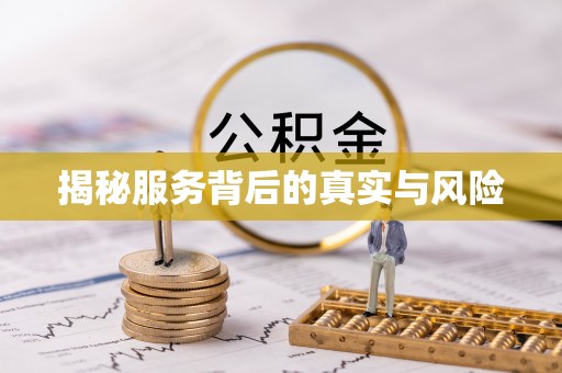 阳山揭秘服务背后的真实与风险