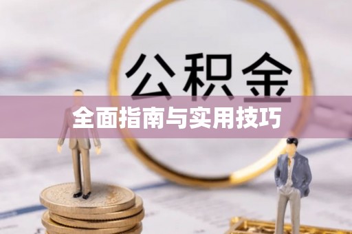 阳山全面指南与实用技巧