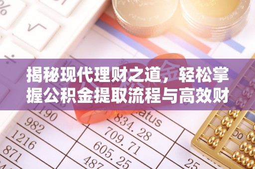 阳山揭秘现代理财之道，轻松掌握公积金提取流程与高效财务规划