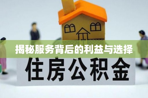 阳山揭秘服务背后的利益与选择